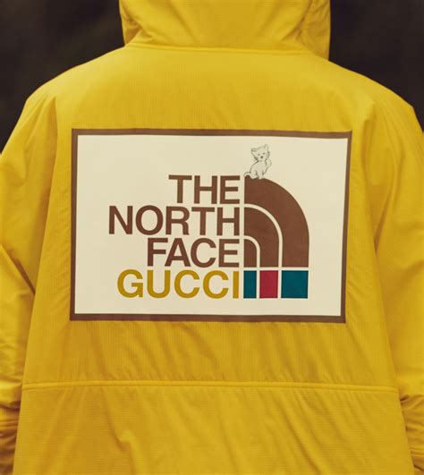 gucci gace|Gucci the north face.